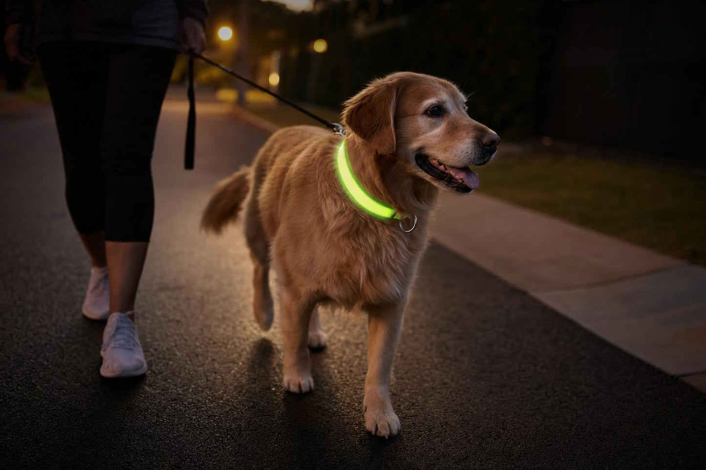 Dog Night Strap - in-use (illustrative)