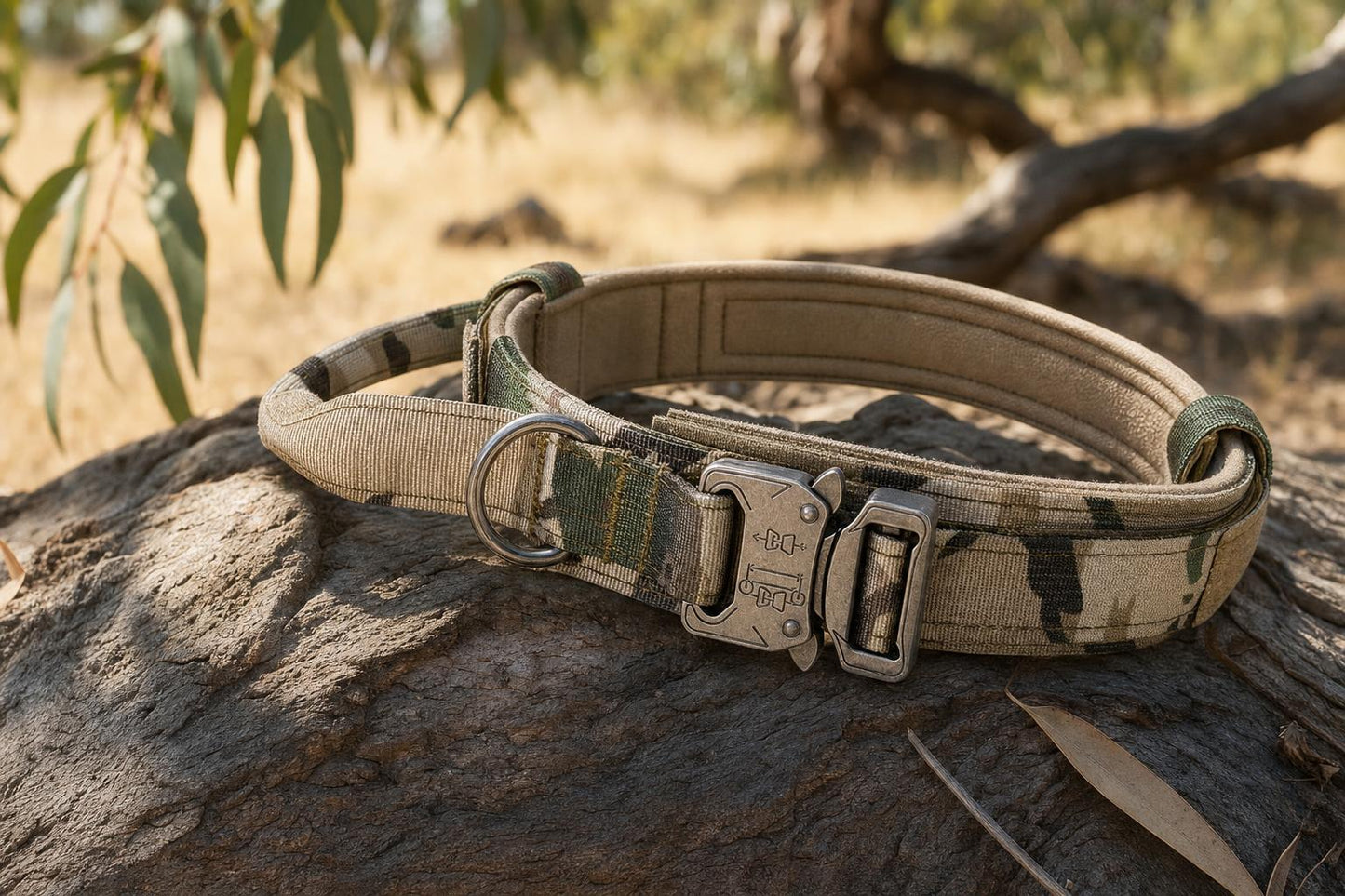 Heavy Duty Nylon Dog Collar with Control Handle - outdoor