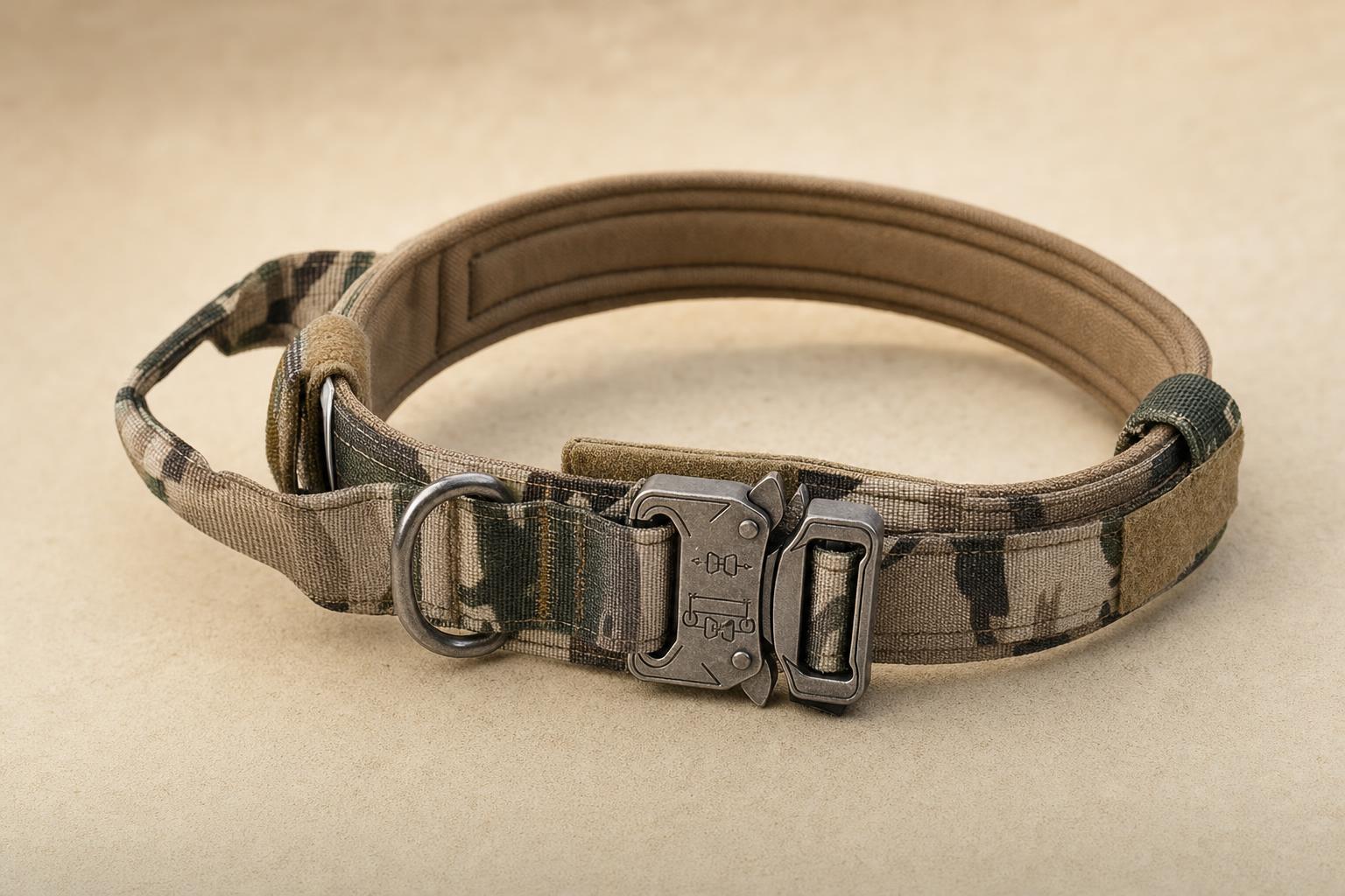 Heavy Duty Nylon Dog Collar with Control Handle - angle