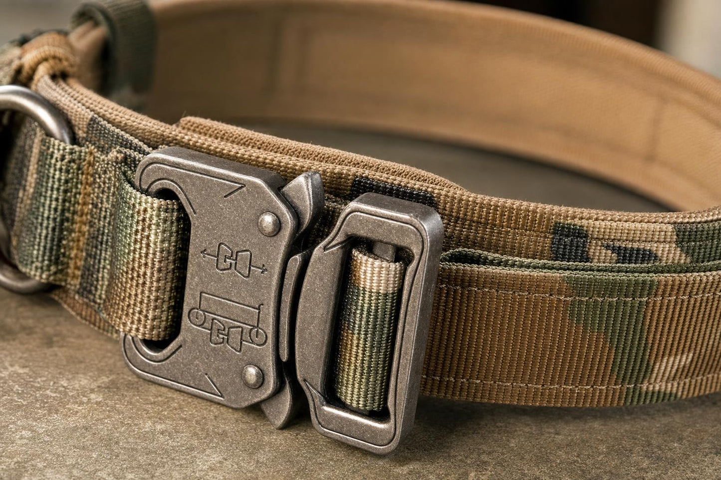 Heavy Duty Nylon Dog Collar with Control Handle - detail