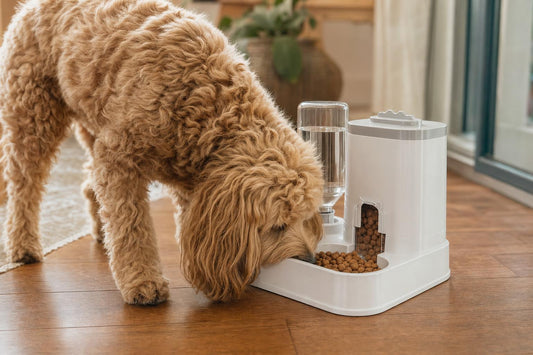 Automatic Pet Feeder & Water Dispenser Combo - in-use