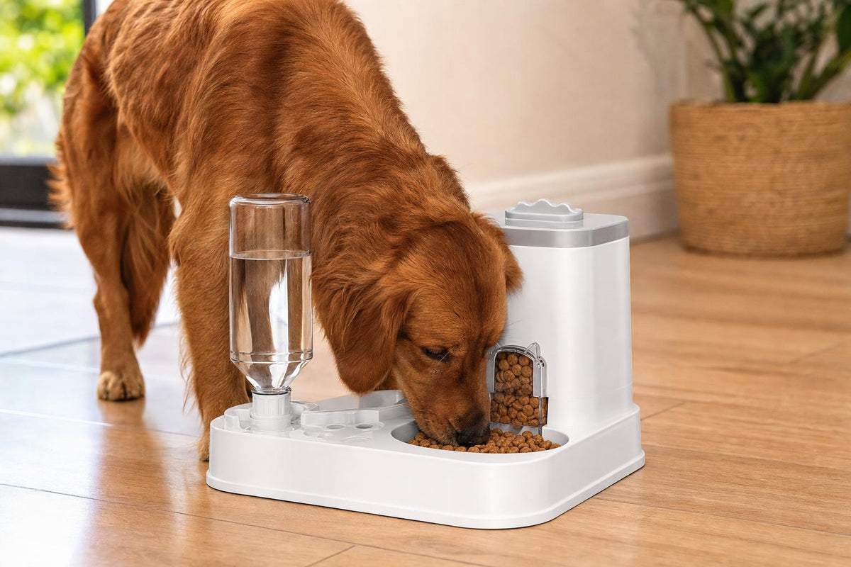 Automatic Pet Feeder & Water Dispenser Combo - Grey