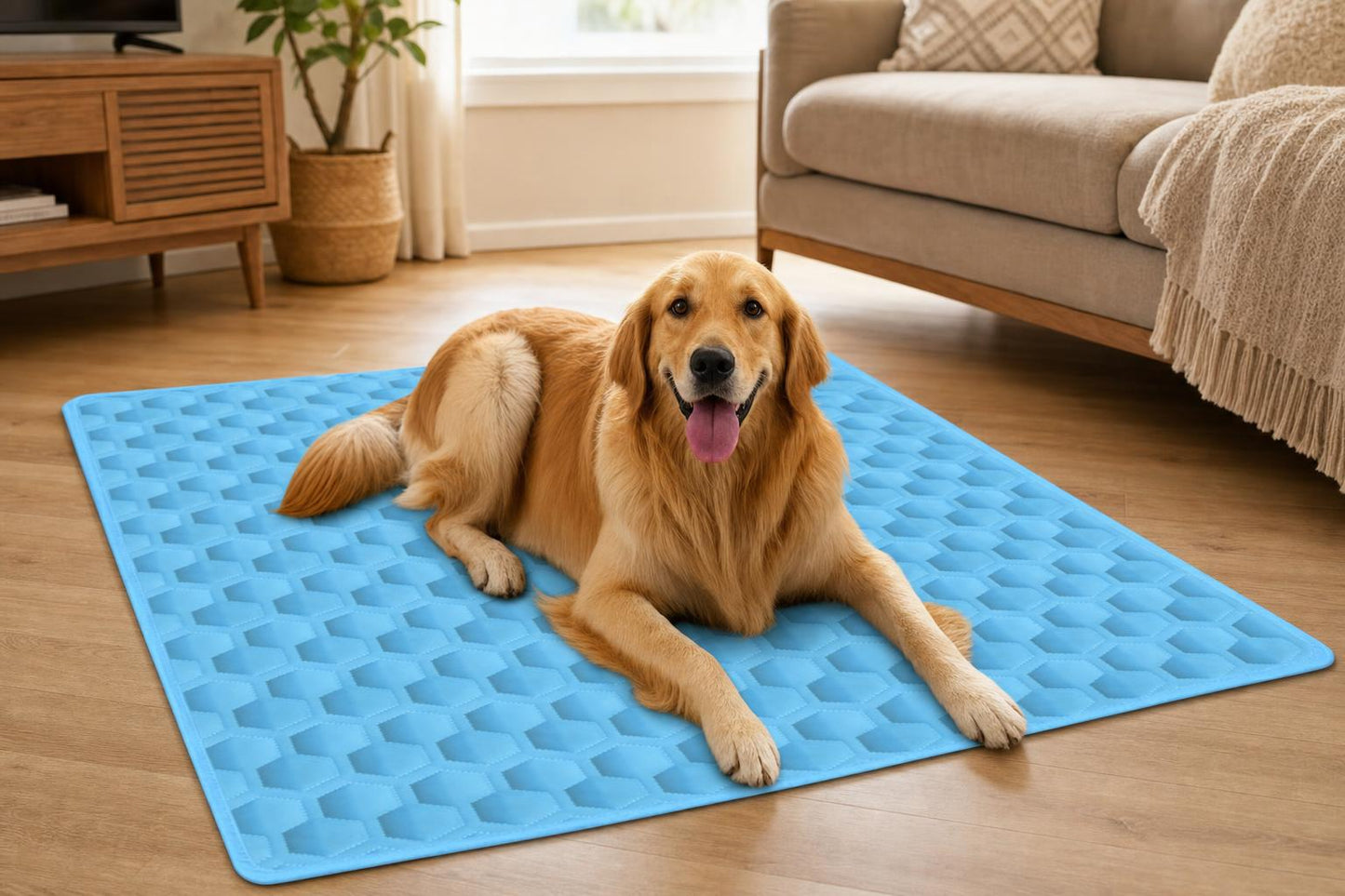 Hexagon Cooling Mat for Pets - scale